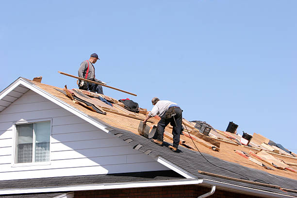 Best Sheet Metal Roofing  in Richlands, NC